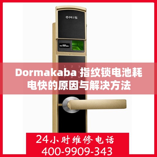 Dormakaba 指纹锁电池耗电快的原因与解决方法