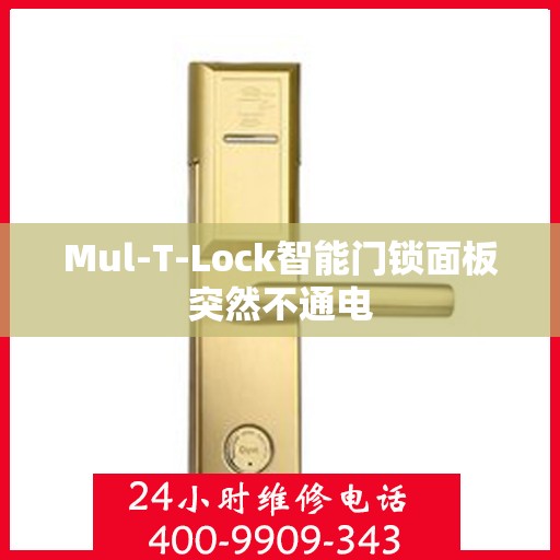 Mul-T-Lock智能门锁面板突然不通电