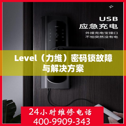 Level（力维）密码锁故障与解决方案