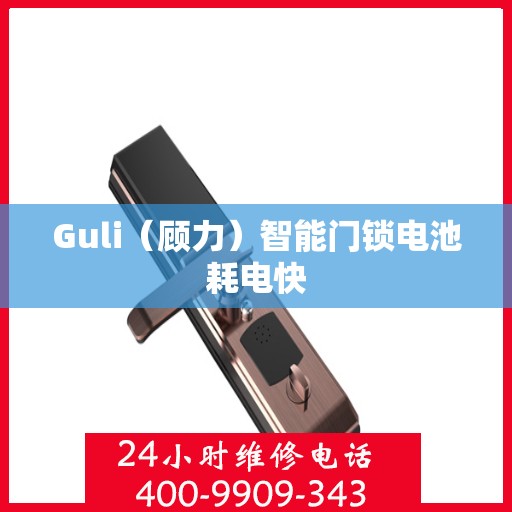 Guli（顾力）智能门锁电池耗电快