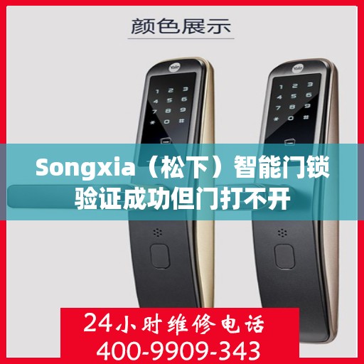 Songxia（松下）智能门锁验证成功但门打不开