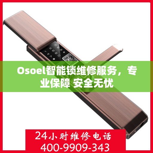 Osoel智能锁维修服务，专业保障 安全无忧