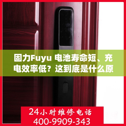 固力Fuyu 电池寿命短、充电效率低？这到底是什么原因？