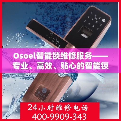 Osoel智能锁维修服务——专业、高效、贴心的智能锁维修解决方案