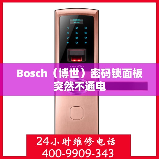 Bosch（博世）密码锁面板突然不通电