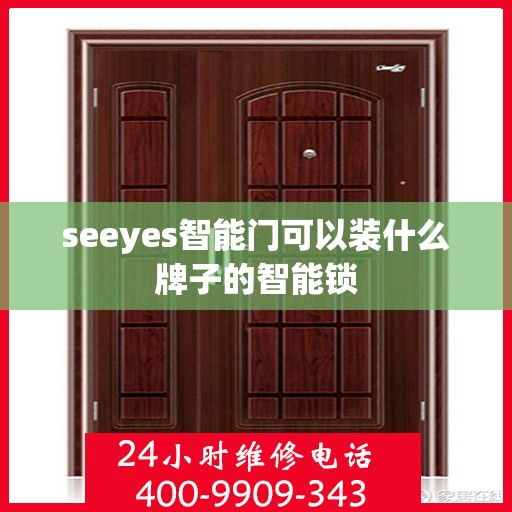 seeyes智能门可以装什么牌子的智能锁