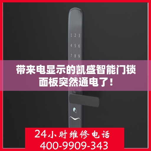 带来电显示的凯盛智能门锁面板突然通电了！