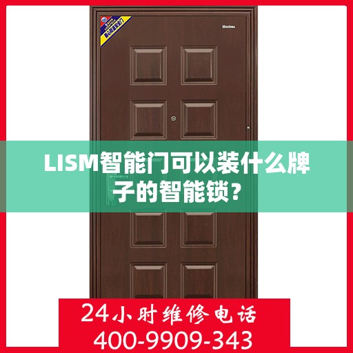 LISM智能门可以装什么牌子的智能锁？