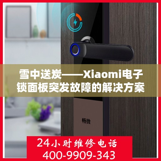 雪中送炭——Xiaomi电子锁面板突发故障的解决方案