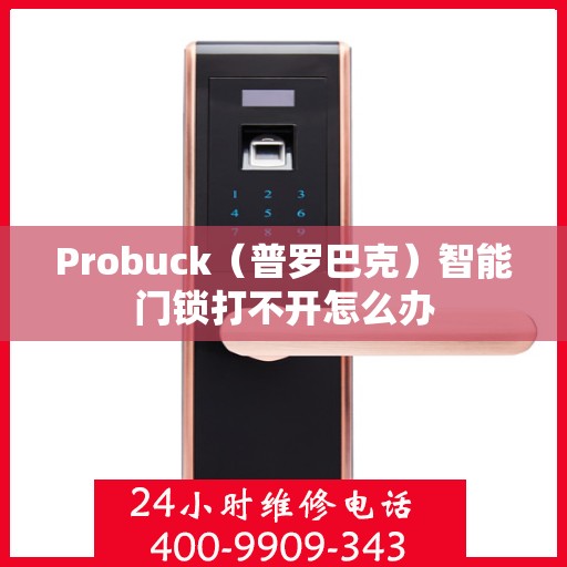 Probuck（普罗巴克）智能门锁打不开怎么办