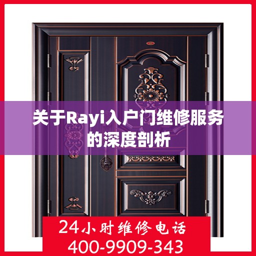 关于Rayi入户门维修服务的深度剖析