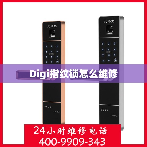 Digi指纹锁怎么维修