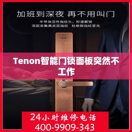 Tenon智能门锁面板突然不工作