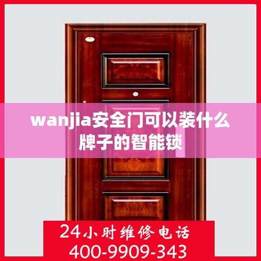 wanjia安全门可以装什么牌子的智能锁