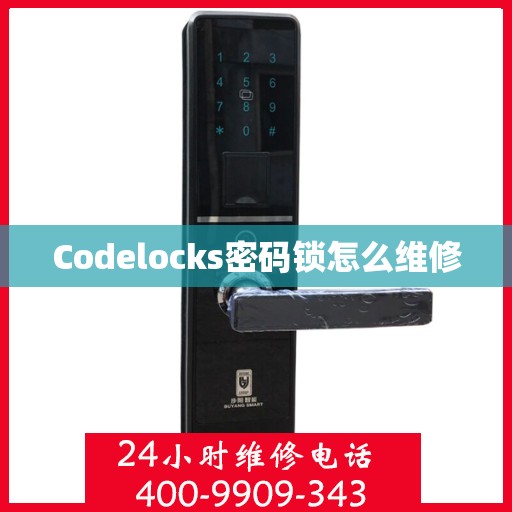 Codelocks密码锁怎么维修