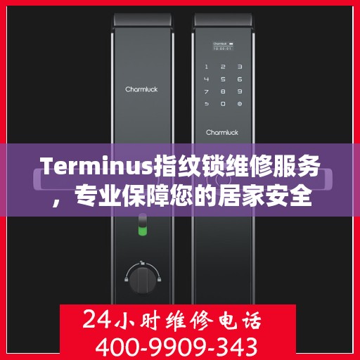 Terminus指纹锁维修服务，专业保障您的居家安全