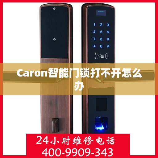 Caron智能门锁打不开怎么办