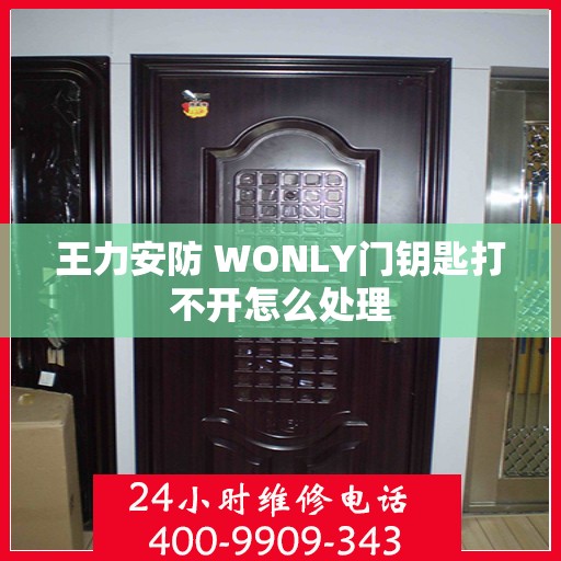 王力安防 WONLY门钥匙打不开怎么处理