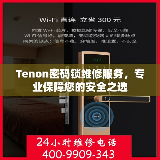 Tenon密码锁维修服务，专业保障您的安全之选