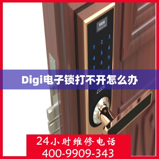 Digi电子锁打不开怎么办