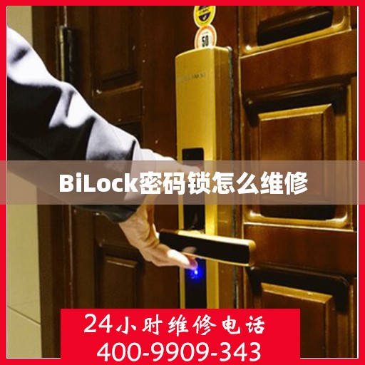 BiLock密码锁怎么维修