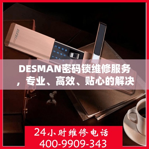 DESMAN密码锁维修服务，专业、高效、贴心的解决方案