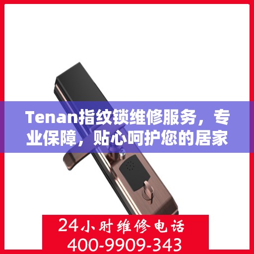 Tenan指纹锁维修服务，专业保障，贴心呵护您的居家安全