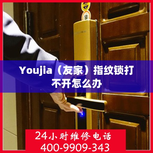 Youjia（友家）指纹锁打不开怎么办