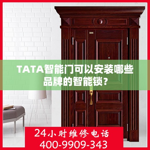 TATA智能门可以安装哪些品牌的智能锁？