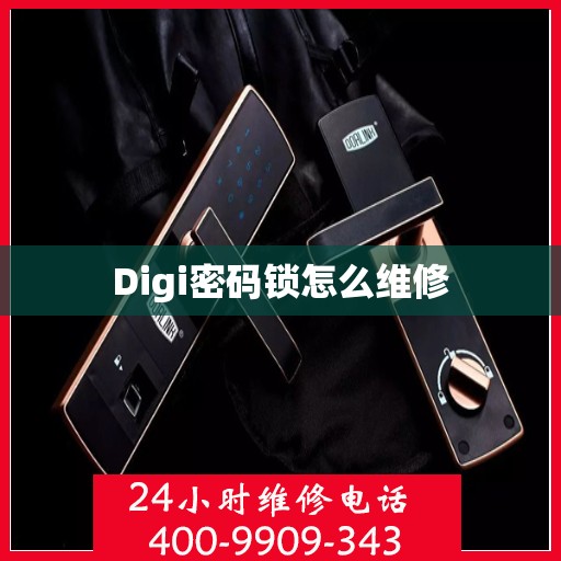 Digi密码锁怎么维修