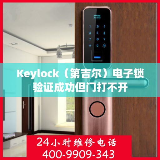 Keylock（第吉尔）电子锁验证成功但门打不开