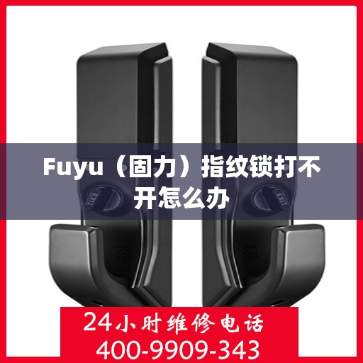 Fuyu（固力）指纹锁打不开怎么办