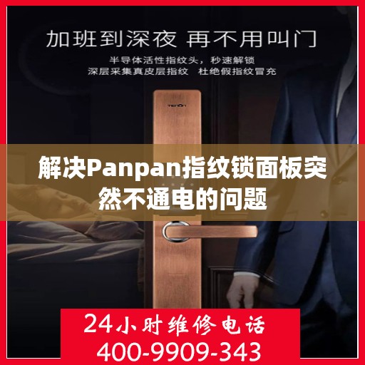 解决Panpan指纹锁面板突然不通电的问题