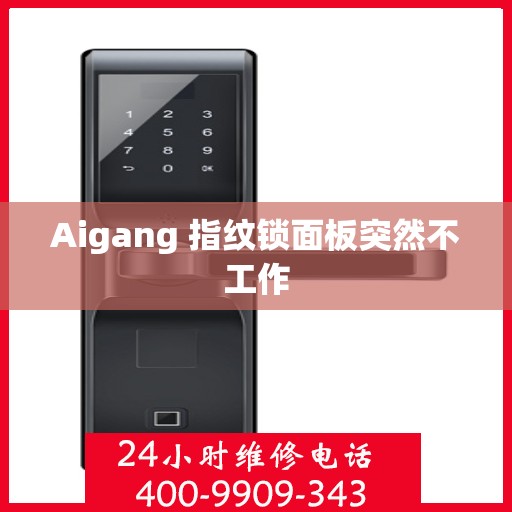 Aigang 指纹锁面板突然不工作