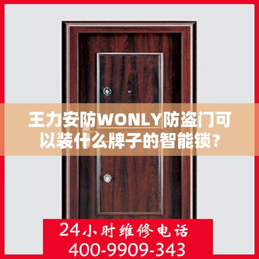 王力安防WONLY防盗门可以装什么牌子的智能锁？