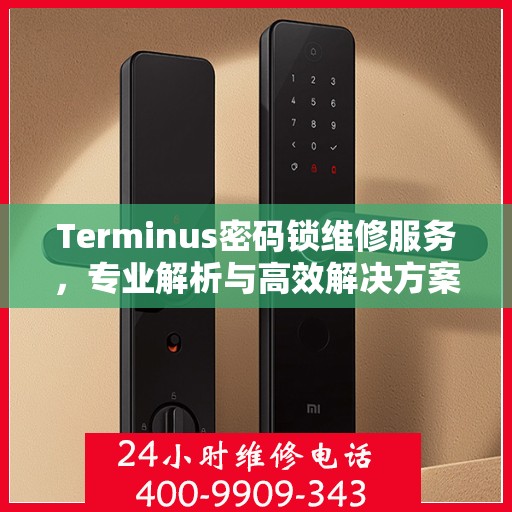 Terminus密码锁维修服务，专业解析与高效解决方案