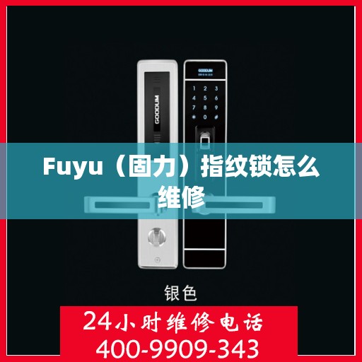 Fuyu（固力）指纹锁怎么维修