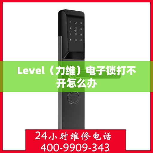 Level（力维）电子锁打不开怎么办