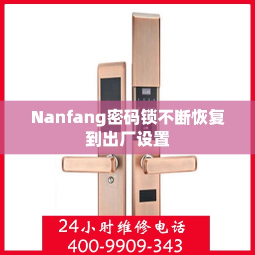 Nanfang密码锁不断恢复到出厂设置