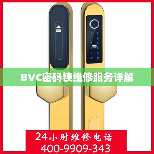 BVC密码锁维修服务详解