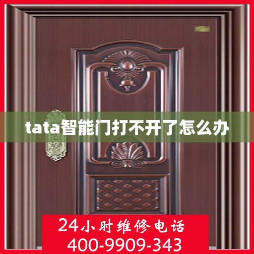 tata智能门打不开了怎么办