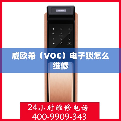 威欧希（VOC）电子锁怎么维修