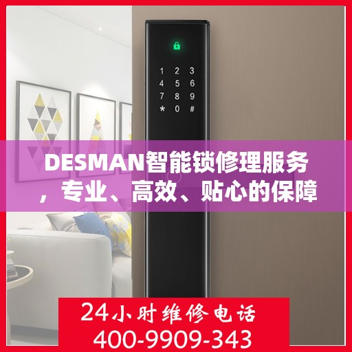 DESMAN智能锁修理服务，专业、高效、贴心的保障