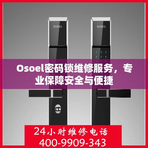 Osoel密码锁维修服务，专业保障安全与便捷