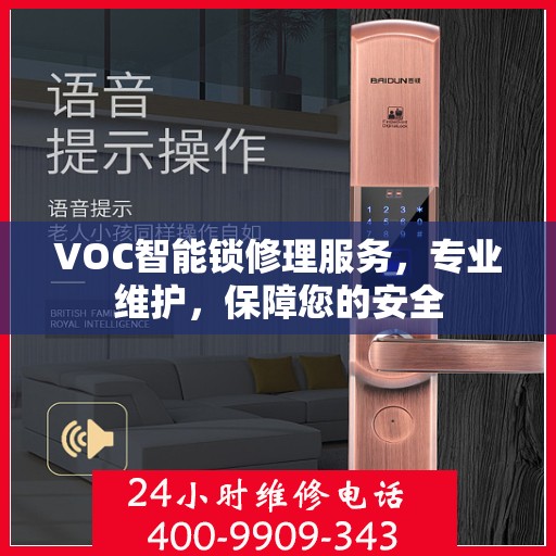 VOC智能锁修理服务，专业维护，保障您的安全