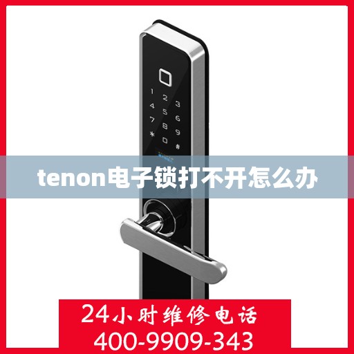 tenon电子锁打不开怎么办