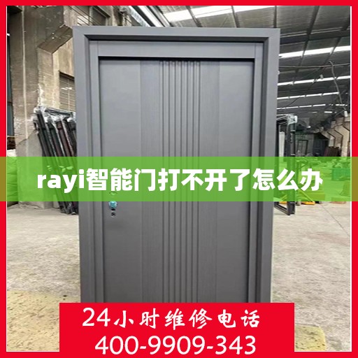 rayi智能门打不开了怎么办