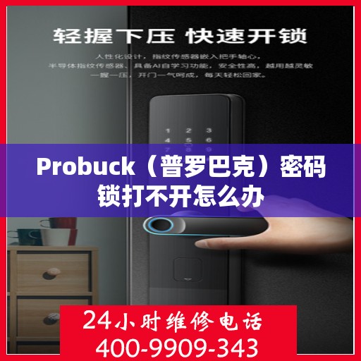 Probuck（普罗巴克）密码锁打不开怎么办