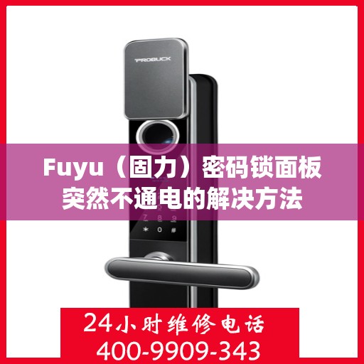 Fuyu（固力）密码锁面板突然不通电的解决方法