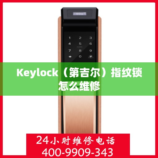 Keylock（第吉尔）指纹锁怎么维修